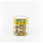 Angelina 3 – Image 2