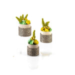 DISTINCTION 4 - Image 2