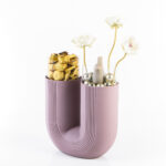 Magnolia 2 – Image 2