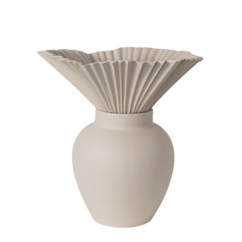 Tulipe 6